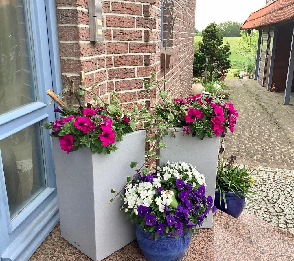 Apartamento Haus Rose Ribnitz-Damgarten Exterior foto